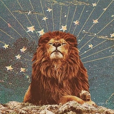 8/8 Lion’s Gate Portal 2026: A Time to Release, Realign & Begin Again